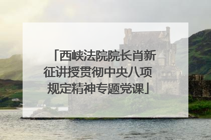 西峡法院院长肖新征讲授贯彻中央八项规定精神专题党课