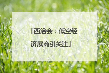西洽会：低空经济展商引关注