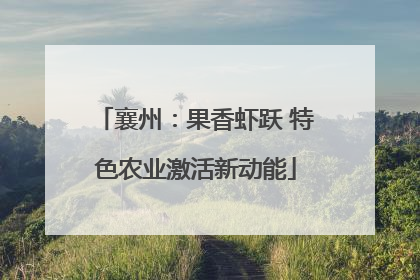 襄州：果香虾跃 特色农业激活新动能