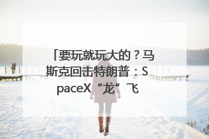 要玩就玩大的？马斯克回击特朗普：SpaceX“龙”飞船将立即退役！