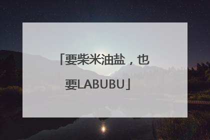 要柴米油盐，也要LABUBU