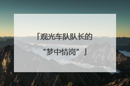 观光车队队长的“梦中情岗”