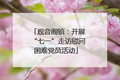 观音阁镇：开展“七一”走访慰问困难党员活动