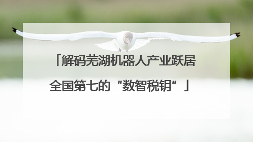 解码芜湖机器人产业跃居全国第七的“数智税钥”