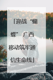 迎战“蝴蝶” 广西移动筑牢通信生命线