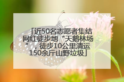 近50名志愿者集结网红徒步地“天鹅林场”，徒步10公里清运150余斤山野垃圾