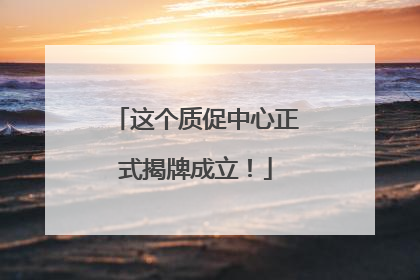 这个质促中心正式揭牌成立！