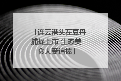 连云港头茬豆丹捕捉上市 生态美食大受追捧