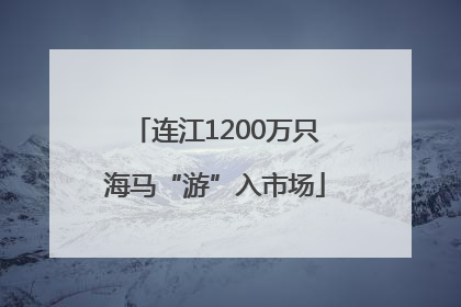 连江1200万只海马“游”入市场
