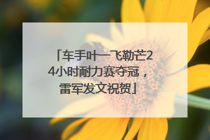 车手叶一飞勒芒24小时耐力赛夺冠，雷军发文祝贺