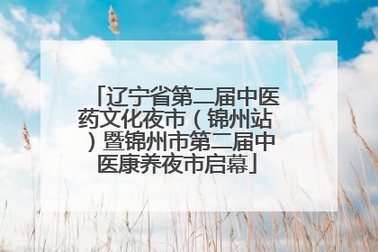 辽宁省第二届中医药文化夜市（锦州站）暨锦州市第二届中医康养夜市启幕