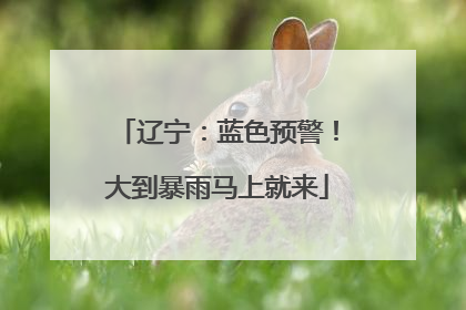 辽宁：蓝色预警！大到暴雨马上就来