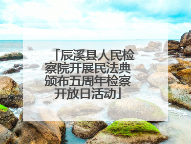 辰溪县人民检察院开展民法典颁布五周年检察开放日活动