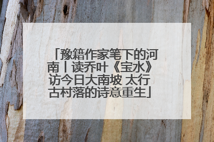 豫籍作家笔下的河南丨读乔叶《宝水》访今日大南坡 太行古村落的诗意重生