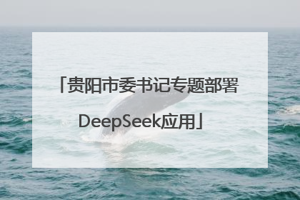 贵阳市委书记专题部署DeepSeek应用