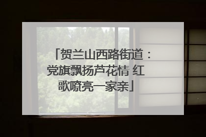 贺兰山西路街道：党旗飘扬芦花情 红歌嘹亮一家亲
