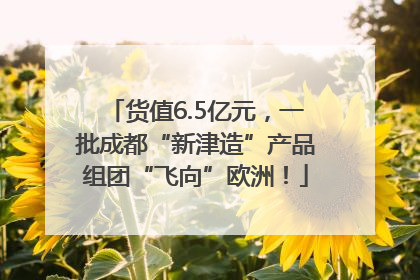 货值6.5亿元，一批成都“新津造”产品组团“飞向”欧洲！