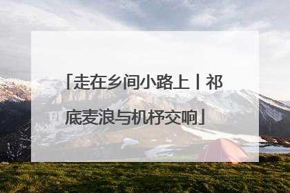 走在乡间小路上丨祁底麦浪与机杼交响