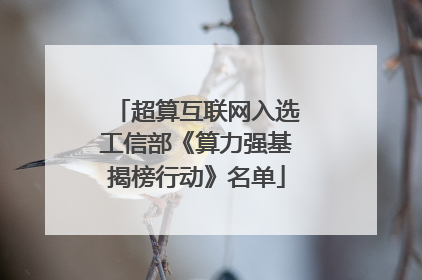 超算互联网入选工信部《算力强基揭榜行动》名单