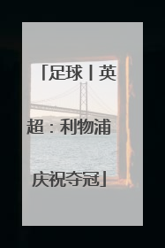 足球丨英超：利物浦庆祝夺冠