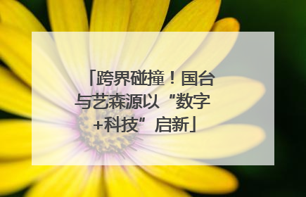 跨界碰撞！国台与艺森源以“数字+科技”启新