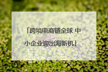 跨境电商链全球 中小企业迎出海新机