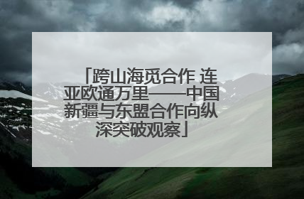 跨山海觅合作 连亚欧通万里——中国新疆与东盟合作向纵深突破观察