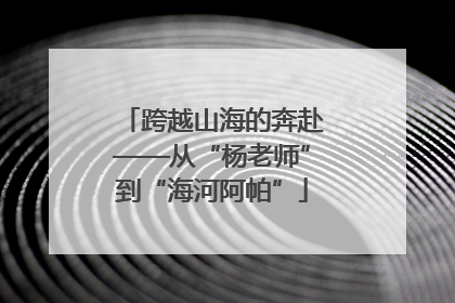 跨越山海的奔赴——从“杨老师”到“海河阿帕”