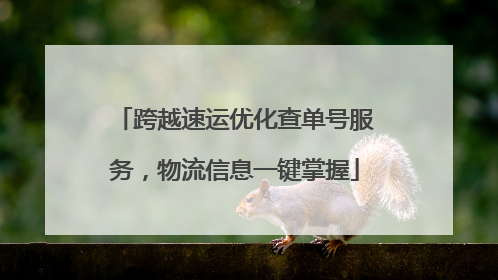 跨越速运优化查单号服务，物流信息一键掌握