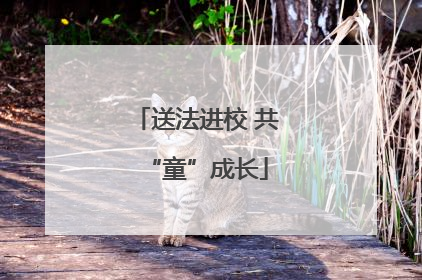 送法进校 共“童”成长
