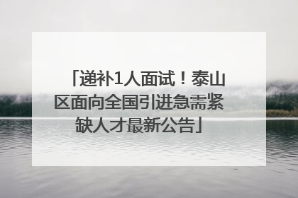 递补1人面试！泰山区面向全国引进急需紧缺人才最新公告