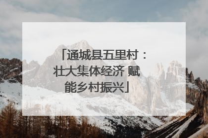 通城县五里村：壮大集体经济 赋能乡村振兴