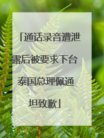 通话录音遭泄露后被要求下台 泰国总理佩通坦致歉