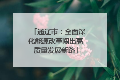 通辽市：全面深化能源改革闯出高质量发展新路
