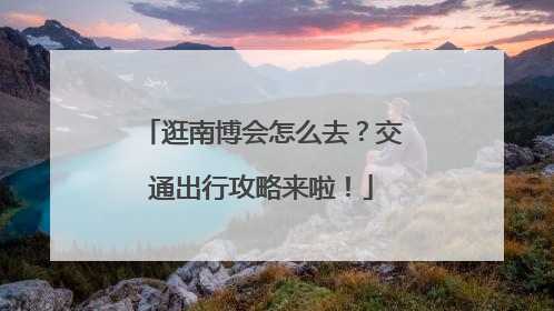 逛南博会怎么去？交通出行攻略来啦！