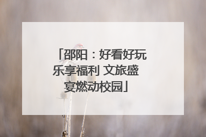 邵阳：好看好玩乐享福利 文旅盛宴燃动校园