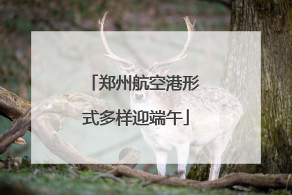 郑州航空港形式多样迎端午