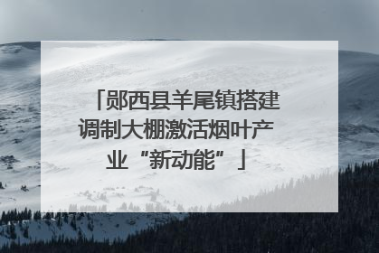 郧西县羊尾镇搭建调制大棚激活烟叶产业“新动能”