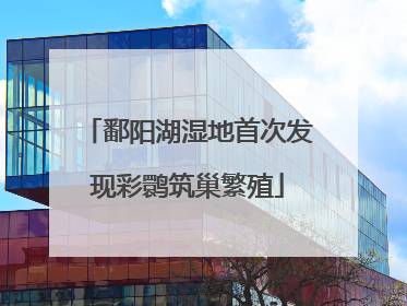 鄱阳湖湿地首次发现彩鹮筑巢繁殖
