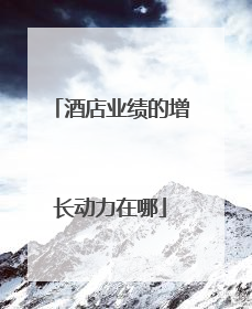 酒店业绩的增长动力在哪
