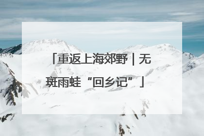 重返上海郊野｜无斑雨蛙“回乡记”