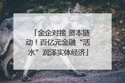 金企对接 资本链动！百亿元金融“活水”润泽实体经济