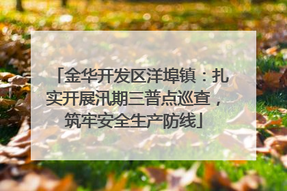 金华开发区洋埠镇：扎实开展汛期三普点巡查，筑牢安全生产防线