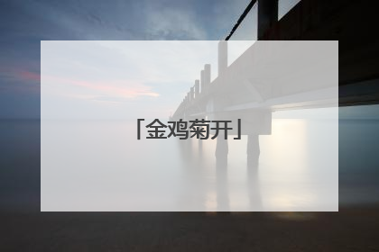 金鸡菊开