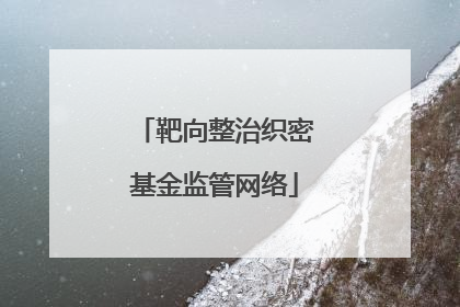 靶向整治织密基金监管网络