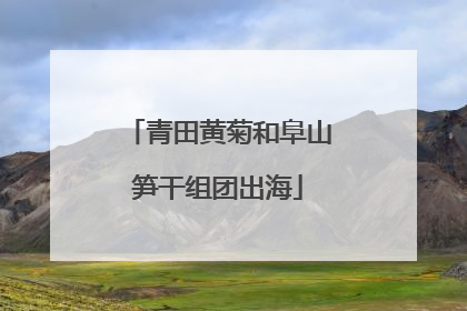 青田黄菊和阜山笋干组团出海
