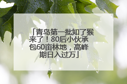 青岛第一批知了猴来了！80后小伙承包60亩林地，高峰期日入过万