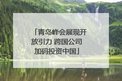 青岛峰会展现开放引力 跨国公司加码投资中国