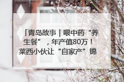 青岛故事｜喂中药“养生餐”，年产值80万！莱西小伙让“自家产”锦鲤“游”向全国