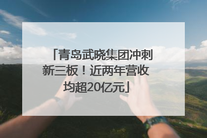 青岛武晓集团冲刺新三板！近两年营收均超20亿元